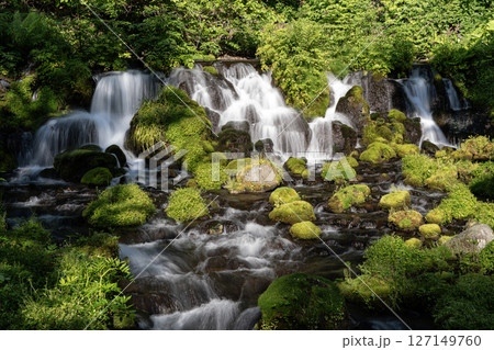 羊蹄山の湧水 127149760