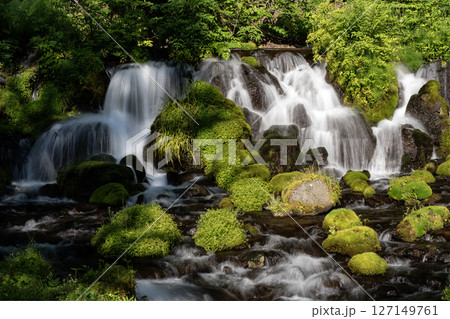 羊蹄山の湧水 127149761