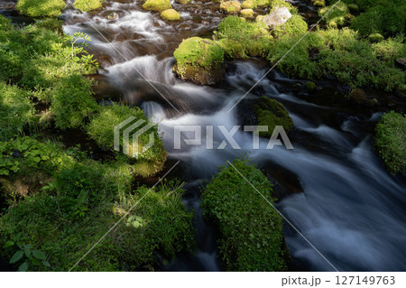 羊蹄山の湧水 127149763