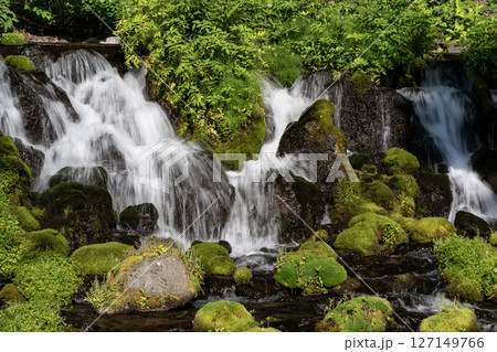 羊蹄山の湧水 羊蹄山の湧水 127149766
