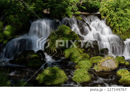 羊蹄山の湧水 羊蹄山の湧水 127149767