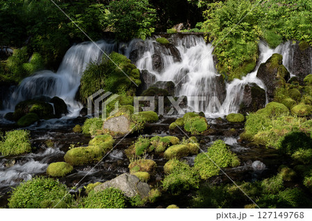 羊蹄山の湧水 127149768