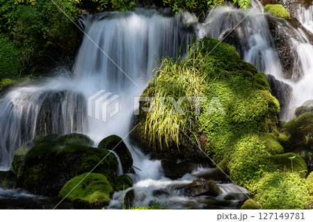 羊蹄山の湧水 127149781