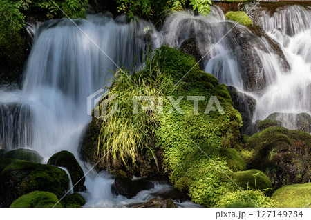 羊蹄山の湧水 127149784