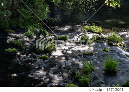 羊蹄山から湧き出る水 127150014