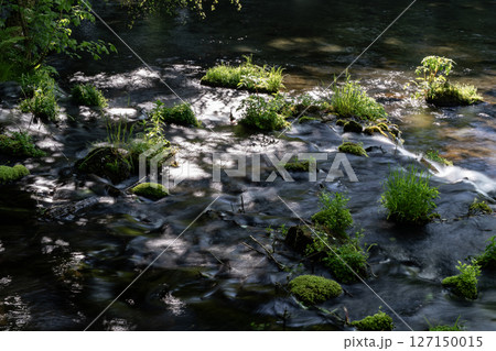 羊蹄山から湧き出る水 127150015