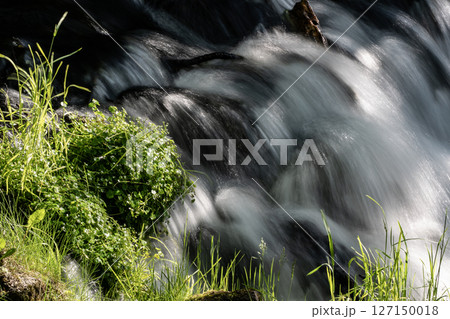 羊蹄山から湧き出る水 127150018