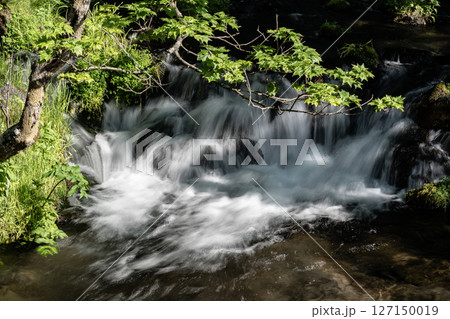 羊蹄山から湧き出る水 羊蹄山から湧き出る水 127150019