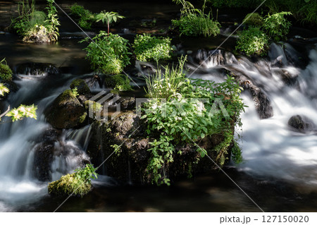 羊蹄山から湧き出る水 127150020