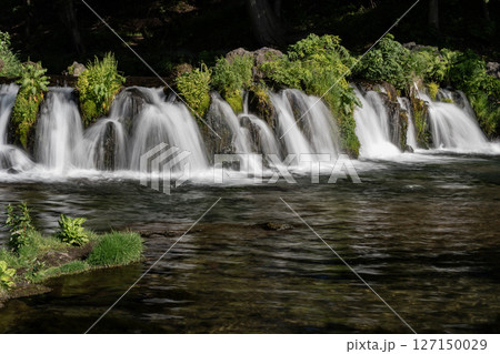 羊蹄山から湧き出る水 127150029