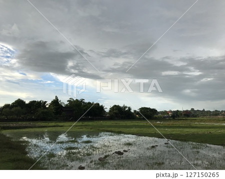ラオスのビエンチャンにある田舎の田園の風景 127150265