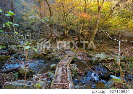 山道と紅葉。 127150924