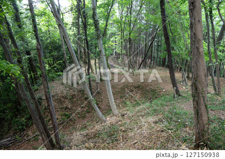滝山城　出丸馬出 127150938