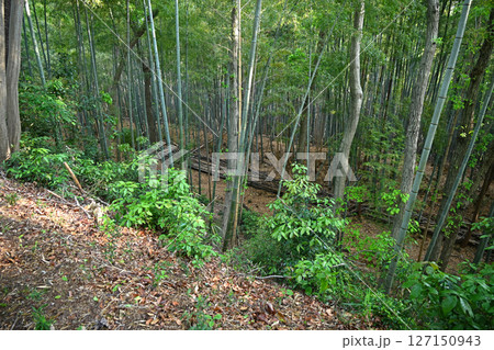 滝山城 小宮曲輪周囲の空堀 滝山城 小宮曲輪周囲の空堀 127150943