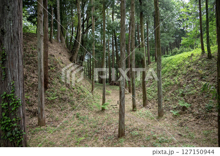 滝山城跡 中の丸周囲の空堀 滝山城跡 中の丸周囲の空堀 127150944