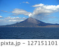 噴煙を上げる桜島 127151101