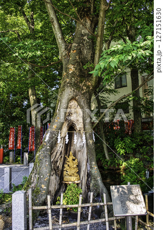 埼玉県 秩父今宮神社 龍上観音・龍神観音 埼玉県 秩父今宮神社 龍上観音・龍神観音 127151630
