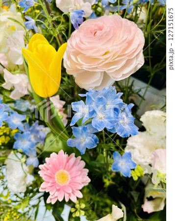 カラフルな春の花 127151675