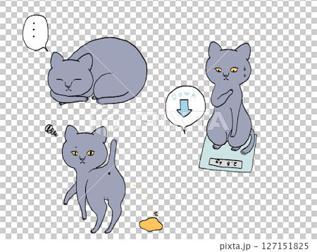 猫の病気FIP症状イラストセット 猫の病気FIP症状イラストセット 127151825