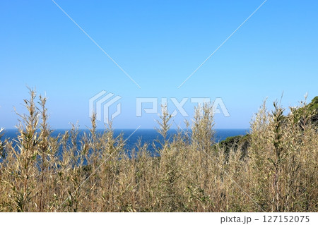 伊豆半島　石廊崎　 127152075