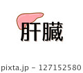 肝臓 127152580