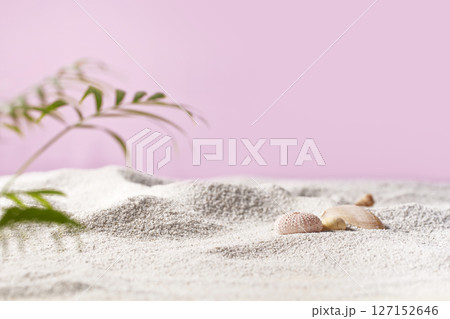 Seashells on Soft Beach Sand Minimal Summer Nature Background. 127152646