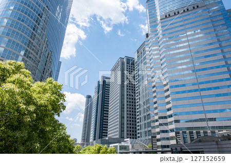 緑のあるオフィス街の風景 127152659