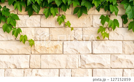 Old stone wall with ivy and flowers on a charming village house entrance. 127152859