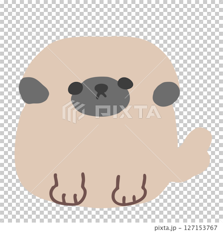 可愛又輕鬆的北京犬手繪插圖 127153767