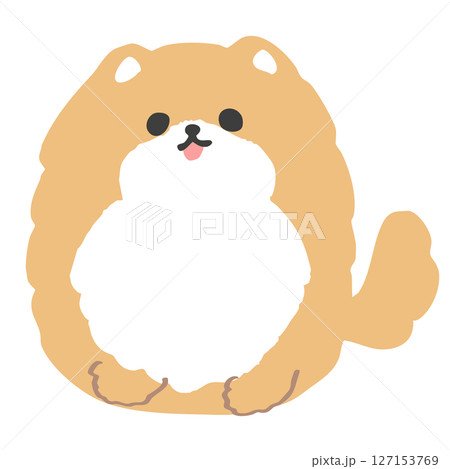 丸くてかわいいポメラニアンのイラスト 127153769