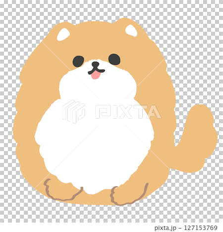 丸くてかわいいポメラニアンのイラスト 127153769