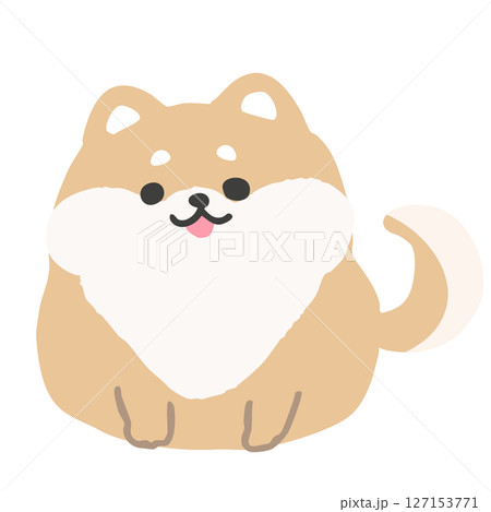 丸くてかわいい柴犬の全身イラスト 丸くてかわいい柴犬の全身イラスト 127153771