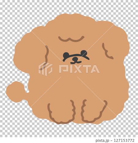 圓圓的、毛茸茸的玩具貴賓犬的可愛插圖 127153772