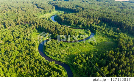 Green snake in a summer tea plantation with rural hills and mountains 127153817