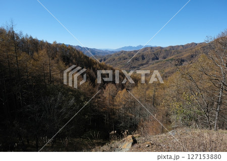 紅葉の日本の絶景トレイル。八ケ岳を望みながら歩く道。 127153880