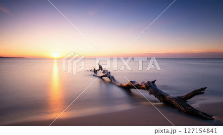 海に横たわる流木と幻想的な朝日 127154841