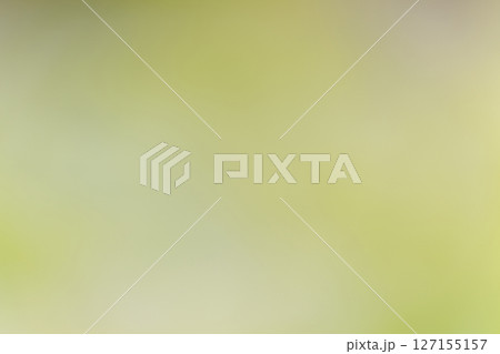 背景素材　グラデーション　黄緑 127155157