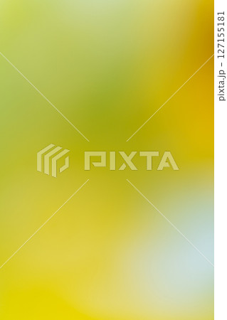 背景素材　グラデーション　黄緑 127155181