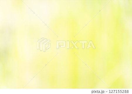 背景素材　グラデーション　黄緑 127155288