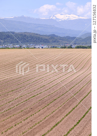 北海道滝川市、江部乙町に広がる畑と残雪の暑寒別岳【6月】 127156832