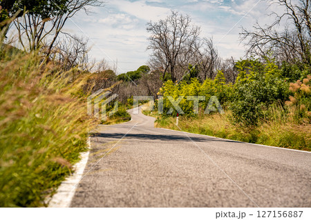 Winding Country Road In Slovenia: Quiet Asphalt Path Curving Through Grassy Verges, Wildflowers, And Forested Hills Under Bright Summer Sunlight 127156887