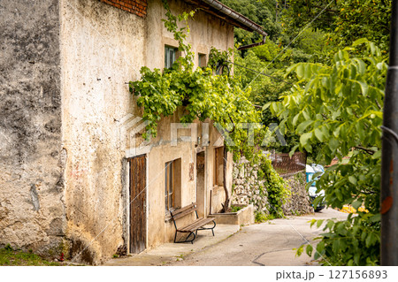 Rustic Street Scene In Vipava, Slovenia: Old Stone House With Wooden Doors And A Bench Beneath Overhanging Green Vines Along A Quiet Winding Lane In The Countryside Rustic Street Scene In Vipava, Slovenia: Old Stone House With Wooden Doors And A Bench Beneath Overhanging Green Vines Along A Quiet Winding Lane In The Countryside 127156893