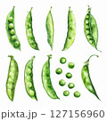 Watercolor vector set of green peas 127156960