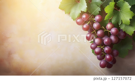Fresh red grapes hanging on a vine with green leaves in warm sunlight Fresh red grapes hanging on a vine with green leaves in warm sunlight 127157072