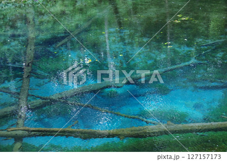 北海道斜里郡 神の子池 北海道斜里郡 神の子池 127157173