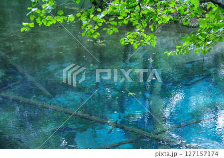 北海道斜里郡 神の子池 北海道斜里郡 神の子池 127157174