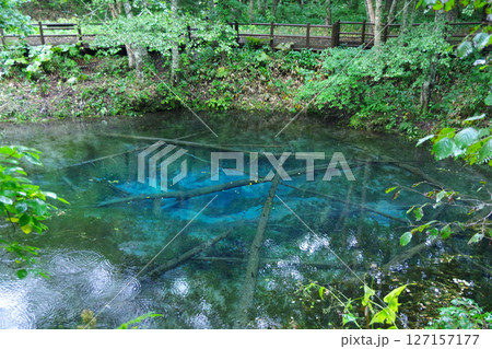 北海道斜里郡 神の子池 北海道斜里郡 神の子池 127157177