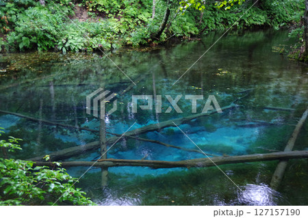北海道斜里郡　神の子池 127157190
