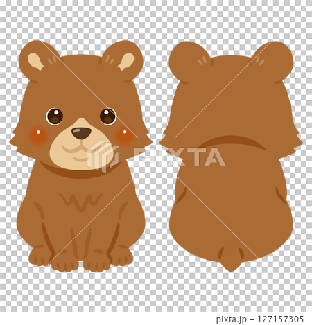 一組坐著的熊的正面和背面插圖 127157305