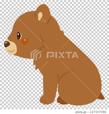 一隻坐著的熊的側面插圖 127157340